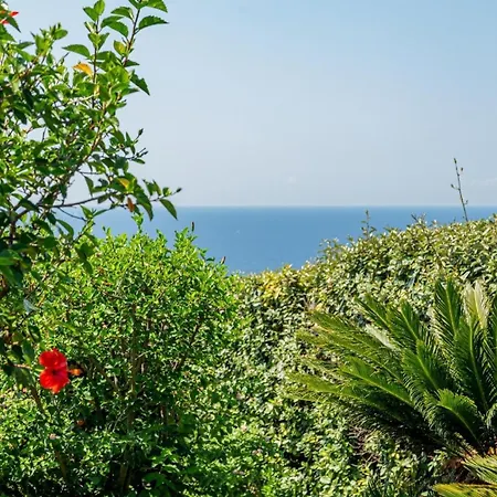 Conchiglia Casa vacanze *